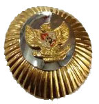 PIN Bupati